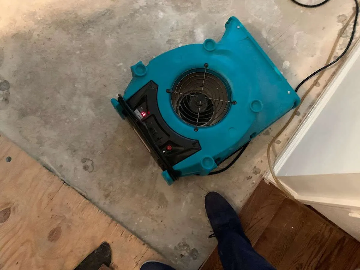 Air mover drying subfloor during Leak Detection & Repair in Carnegie